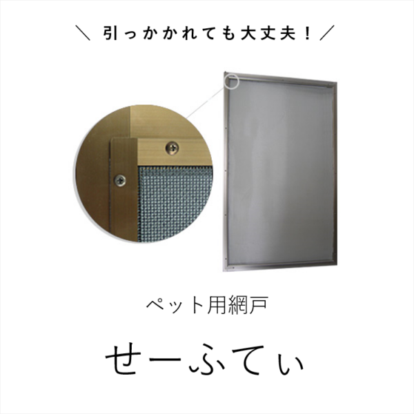 せーふてぃ