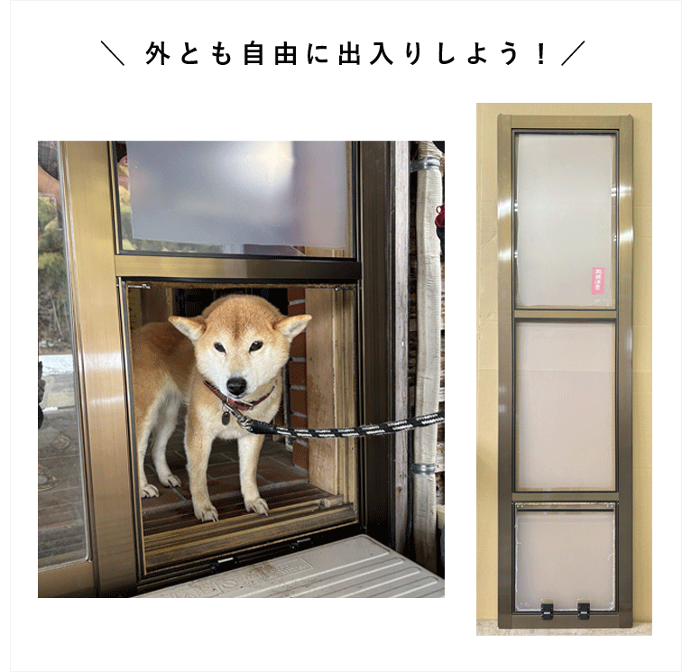 ワン・ワン・ドア